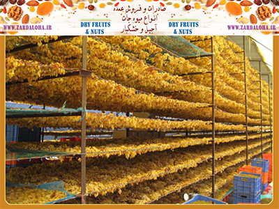 صادرات کشمش انگوری طلایی ممتاز عمده